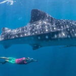 El Cabo: Incredible Private Tour to Espiritu Santo - The Value of the Experience