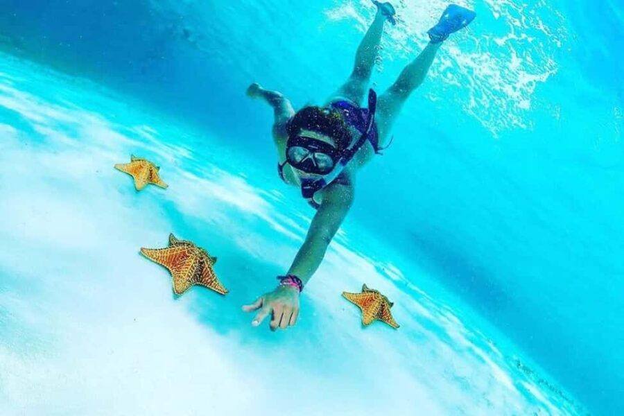 El Cielo and El Cielito in Cozumel with Beach Club, Food, and Open Bar - What to Expect During the Day