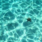 El Cielo and Snorkeling for Cruise Ship Passengers - Who Should Consider This Tour?