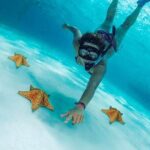 El Cielo Cozumel, a paradisiacal tour. Be amazed by the stars near to you. - The Reef Exploration: Snorkeling in vibrant Caribbean waters