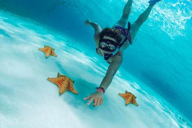 El Cielo Cozumel, a paradisiacal tour. Be amazed by the stars near to you. - The Reef Exploration: Snorkeling in vibrant Caribbean waters