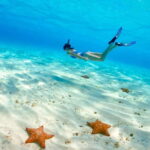 El Cielo Cozumel private snorkel tour - Who Is This Tour Best For?