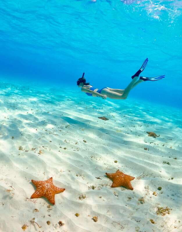 El Cielo Cozumel private snorkel tour - Who Is This Tour Best For?