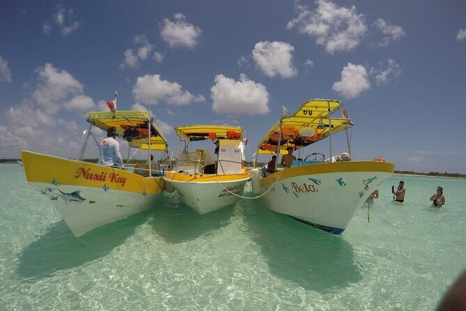 El Cielo Cozumel Snorkeling by Private Boat - Why Youll Love This Tour