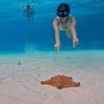 El Cielo Snorkeling Tour and The Top Reefs of Cozumel - What’s Included and What to Expect