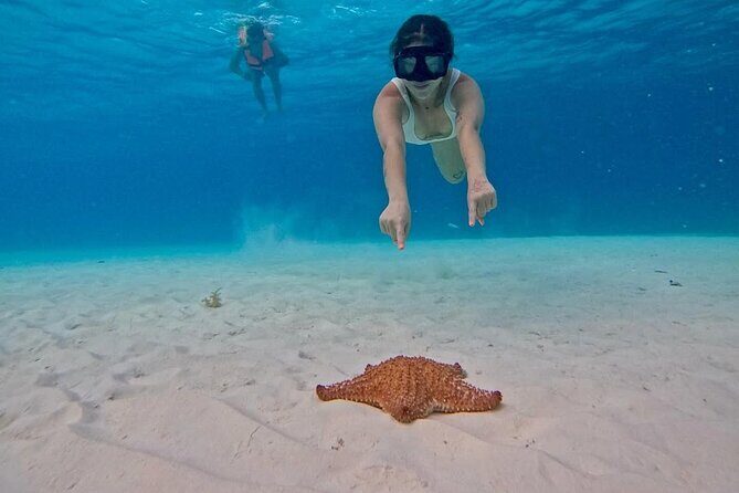 El Cielo Snorkeling Tour and The Top Reefs of Cozumel - What’s Included and What to Expect