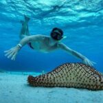 El Cielo the Breathtaking Snorkel Tour of Cozumel Cielito Beach & Lunch Included - Exploring the Snorkel Tour of Cozumel: What You Need to Know