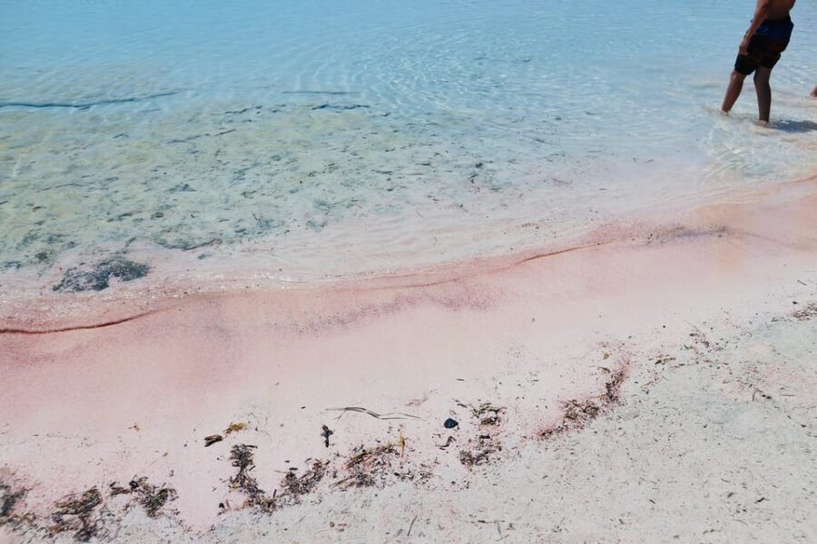 Elafonisi Road Trip - Be first at Beach! - Who Is This Tour Best For?