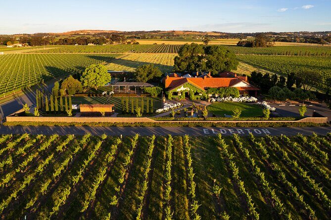 Elderton Elite Tasting Experience - The Itinerary and Highlights