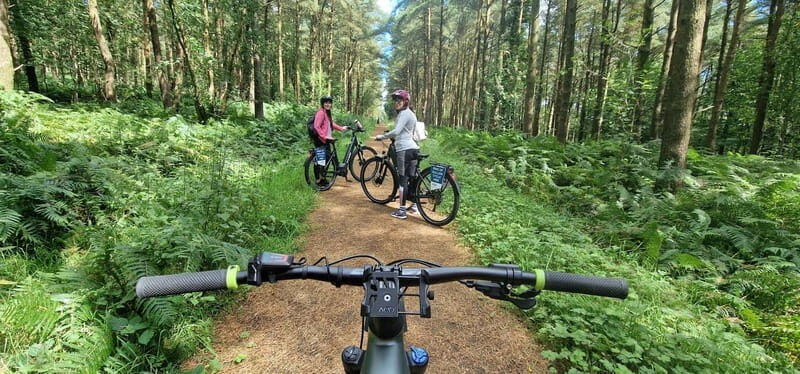 Electric Bike Experience on Slieve Gullion Mountain - Who Will Love This Tour?