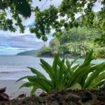 Electric Bike Rental Moorea - Frequently Asked Questions