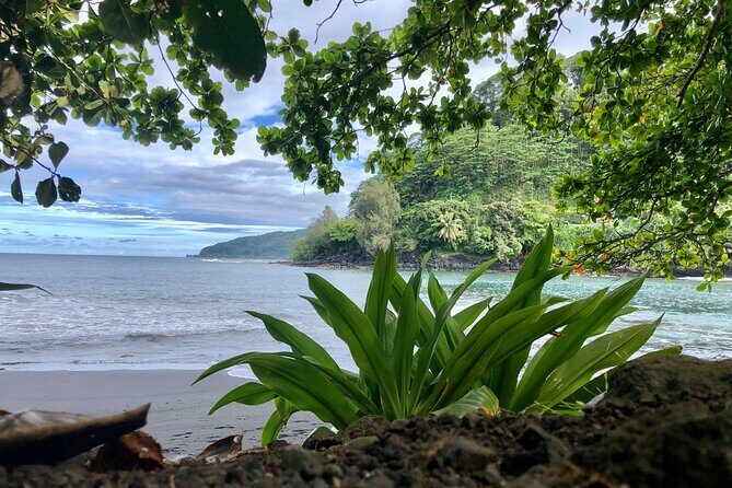 Electric Bike Rental Moorea - Frequently Asked Questions