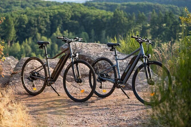 Electric Bike Rental on Camino de Santiago - What to Expect When Renting an Electric Bike in Porto