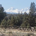 Electric Bike Tour of Bend & Deschutes River - Who Would Love This Tour?