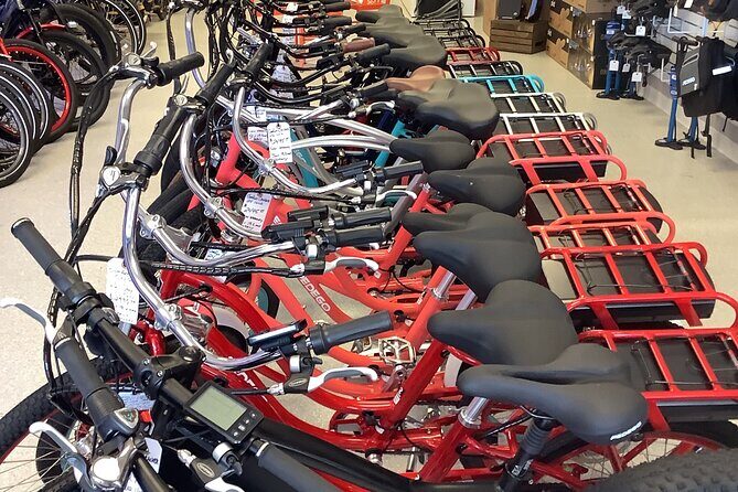 Electric Bikes Rental in Dunedin - Price and Value