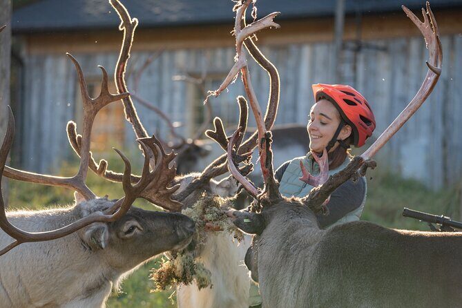 Electric Fatbike Trip to the Reindeer Farm - The Ride Back and Overall Experience