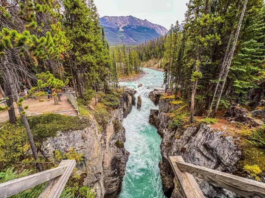 Emerald Lake, Lake Louise, Johnston Lake & Banff Gondola - Who Should Consider This Tour?