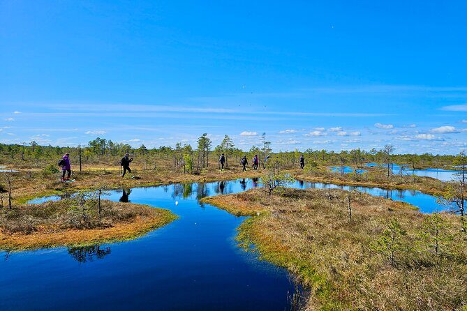 emeri Bogs Adventure: Explore Wetlands In Bog Shoes - The Experience You’ll Have in Kemeri