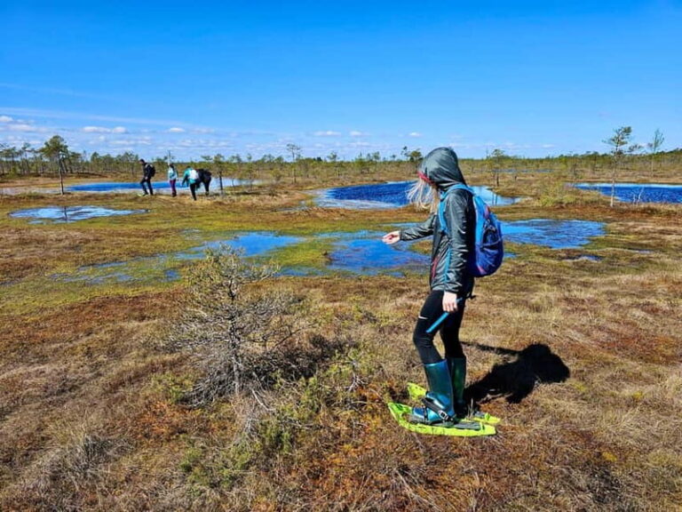 emeri Bogs Adventure: Explore Wetlands In Bog Shoes - What to Expect from the Itinerary
