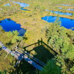 emeri Great Bog With Optional Sunrise & Jrmala Visit - Who Is This Tour Best For?