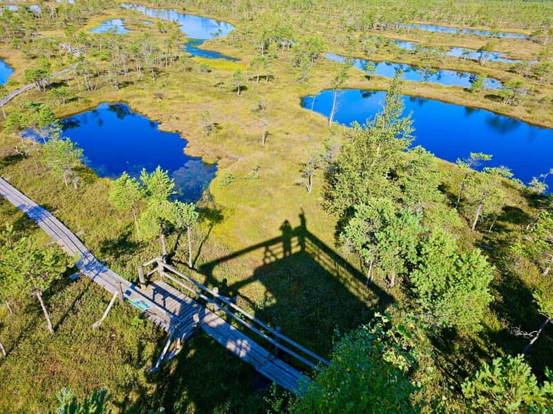 emeri Great Bog With Optional Sunrise & Jrmala Visit - Who Is This Tour Best For?