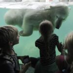 Emmen: Wildlands Adventure Zoo and Rimbula River Boat Ride - What Makes Wildlands Stand Out?