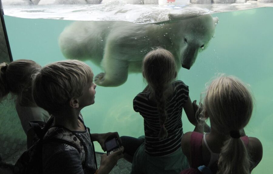 Emmen: Wildlands Adventure Zoo and Rimbula River Boat Ride - What Makes Wildlands Stand Out?