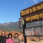 Enchanted Full Day Napa & Sonoma Wine Tour from Oakland - What Travelers Are Saying