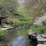 Enchanted Pedicab Tour History & Secrets of Lincoln Park - Why This Tour Offers Excellent Value