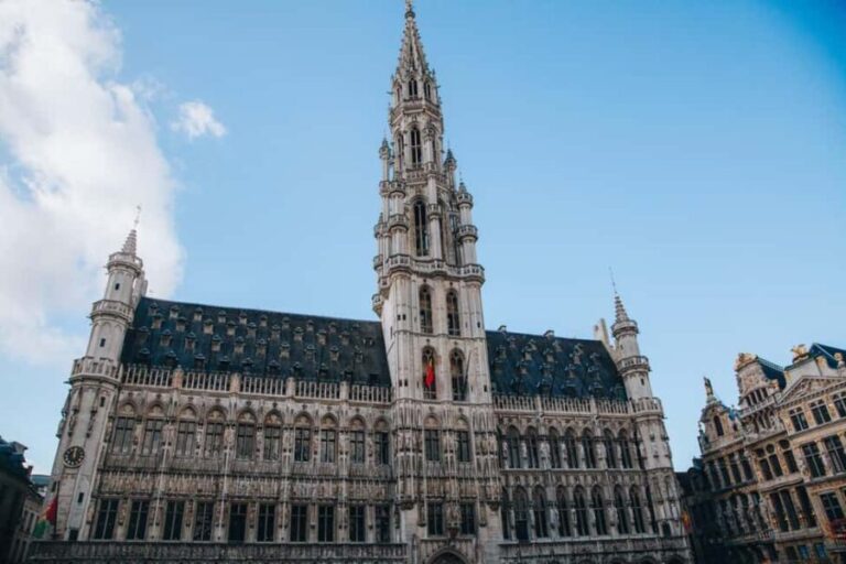 Enchanting Brussels Private Tour: History & Culture Unveiled - Why This Tour Offers Good Value