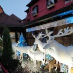Enchanting Christmas Experience From Colmar - A Balanced View