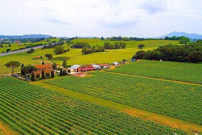 Enjoy a meal with wine tasting in the vineyard of Podere Casanova - How does the experience flow?