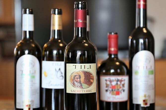 Enjoy and Taste the Flavors of Wine in an Open-air Venue - An Authentic Taste of Umbrian Wine and Scenery