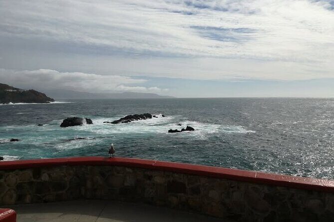 Enjoy La Bufadora and eat the best tacos! - In-Depth Look at the Tour Experience