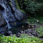 Enjoy Moorea Private day tour - Who Will Love This Tour?