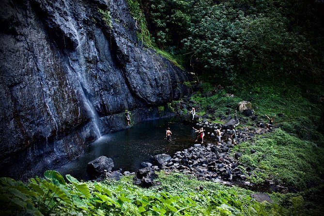 Enjoy Moorea Private day tour - Who Will Love This Tour?