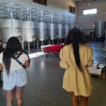 Enjoy The Algarvian Wine Taste & Coast Line Private Van Tour - A Deep Dive into the Algarve’s Coastal Gems and Vineyards