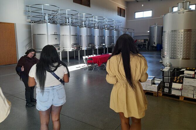 Enjoy The Algarvian Wine Taste & Coast Line Private Van Tour - A Deep Dive into the Algarve’s Coastal Gems and Vineyards