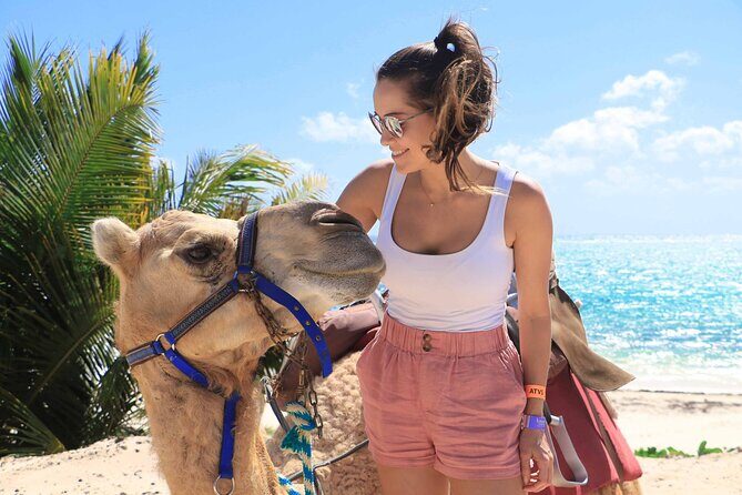 ENJOY UNIQUE CAMEL RIDE in Puerto Morelos with Transportation - An In-Depth Look at the Camel Adventure in Puerto Morelos