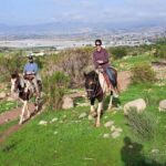Ensenada: Bajas Hidden Trails: Horseback Ride w/ Ocean View - The Itinerary and Experience in Detail