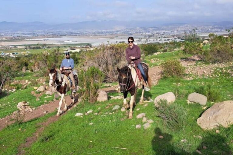 Ensenada: Bajas Hidden Trails: Horseback Ride w/ Ocean View - The Itinerary and Experience in Detail