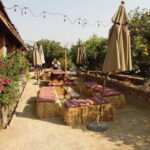 Ensenada: Guadalupe Valley Wine Route Private Tour - An In-Depth Look at the Guadalupe Valley Private Wine Tour