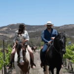 Ensenada: Horseback Riding at the Vineyards - A Closer Look at the Itinerary