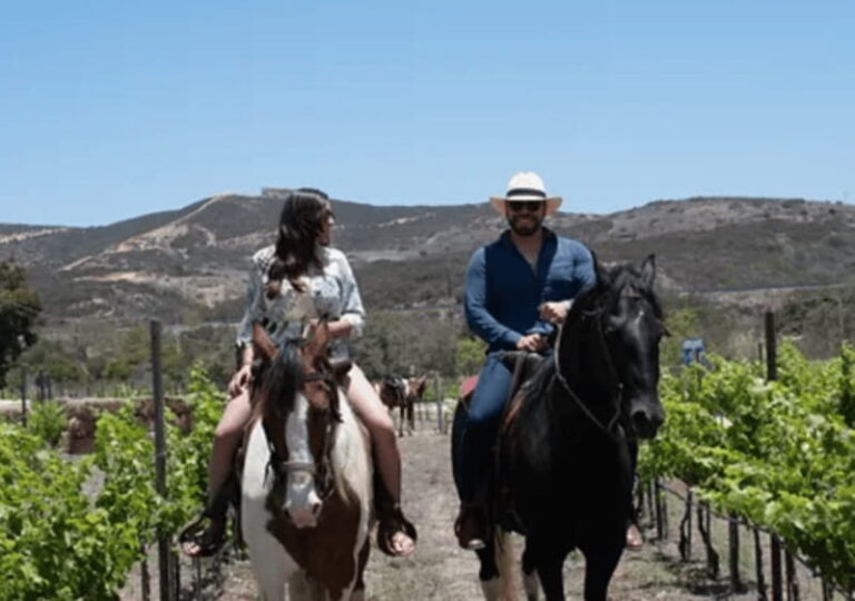 Ensenada: Horseback Riding at the Vineyards - A Closer Look at the Itinerary