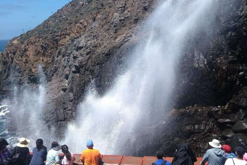 Ensenada: La Bufadora & Beach Horseback Riding Adventure - Who Is This Tour Best For?