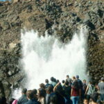Ensenada: La Bufadora Guided Tour with Tequila Tasting - What’s Included and What’s Not