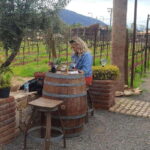 Ensenada: Ojos Negros Valley Cheese and Wine Tasting Tour - A Closer Look at the Experience