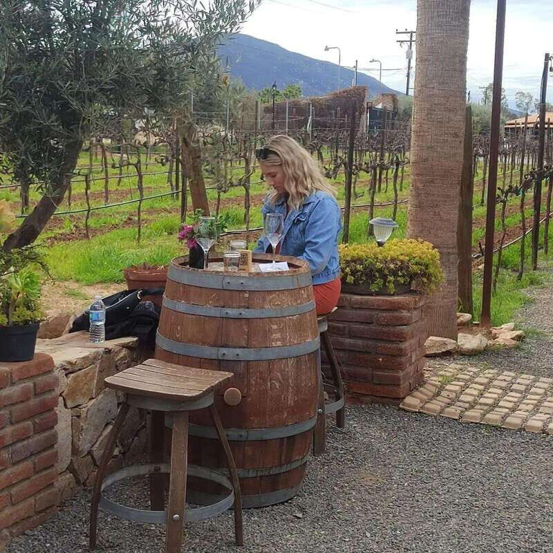 Ensenada: Ojos Negros Valley Cheese and Wine Tasting Tour - A Closer Look at the Experience