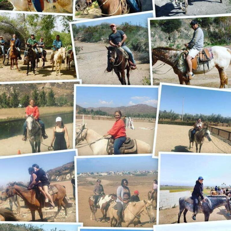 Ensenada: Punta Banda Horseback Riding Tour - A Detailed Look at the Punta Banda Horseback Adventure