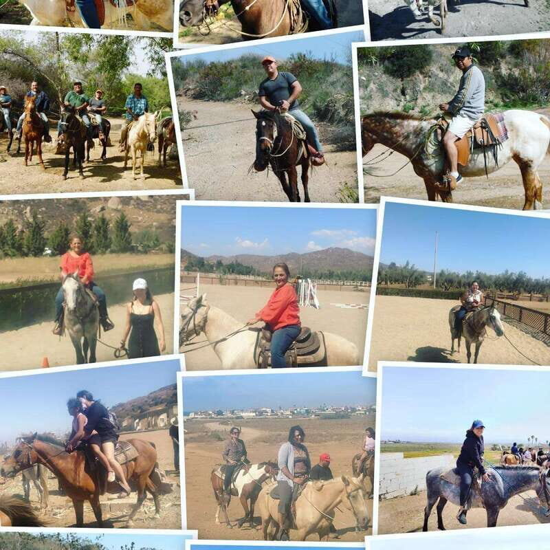 Ensenada: Punta Banda Horseback Riding Tour - A Detailed Look at the Punta Banda Horseback Adventure